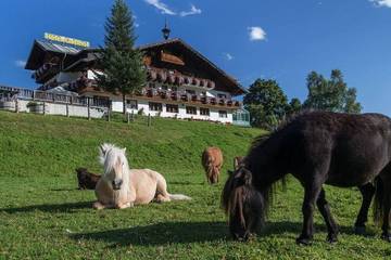 Chalet für 2 Personen in Rohrmoos, Schladming und Umgebung, Bild 3
