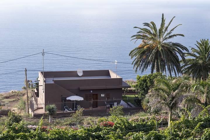 Maison de vacances pour 5 personnes, avec terrasse et jardin - 1