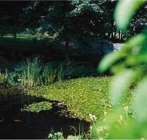Hotel für 2 Personen in die Mittelgebirge - 3