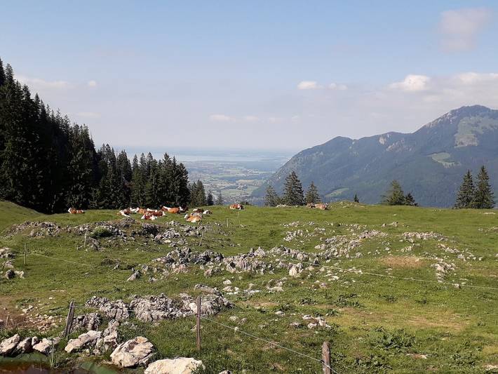 Ferienwohnung für 2 Personen, mit Balkon, kinderfreundlich in Unterwössen - 4