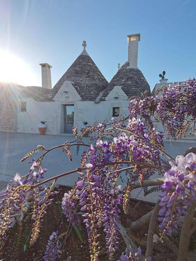 Appart’hôtel pour 6 personnes, avec Terrasse et Jardin ainsi que Piscine et Vue