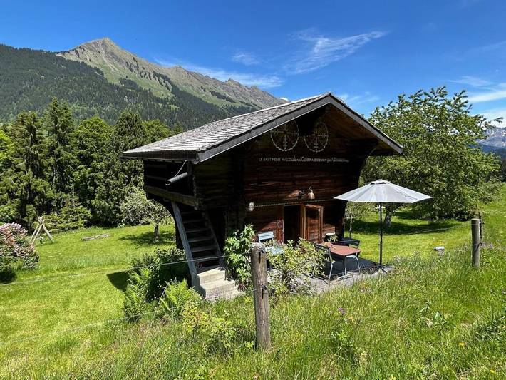 Chalet für 3 Personen, mit Balkon und Terrasse sowie Garten und Ausblick in Ormont-Dessus (Les Diablerets)