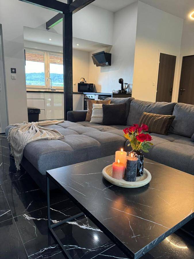 Appartement entier, Sinalospa - Culiacàn - Appartement Jardin Jacuzzi Sauna à 5 minutes de Nancy Place Stanislas in Champigneulles, Région de Nancy