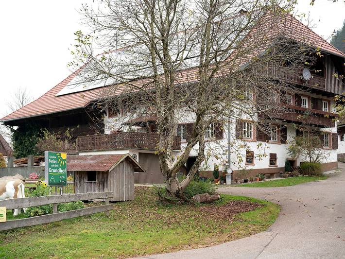 Ferienwohnung für 2 Personen, mit Balkon und Garten in Elzach - 2