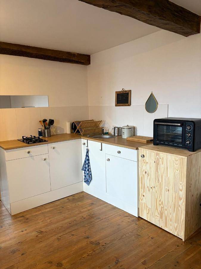 Gîte pour 4 personnes, avec vue, animaux acceptés à Saint-Pastous - 2