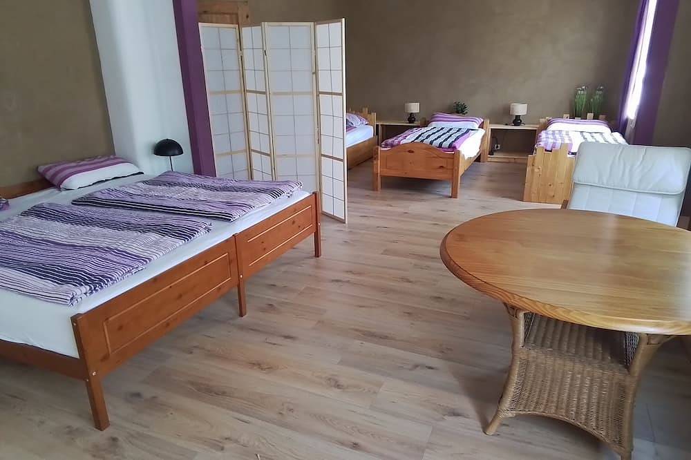 Ideal für Jga und Familientreffen mit Außenbereich, Außenküche,Garten,Parkplatz. in Möckern, Fläming