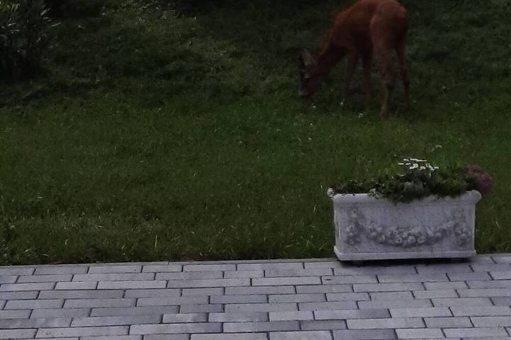 Ferienwohnung für 9 Personen, mit Garten und Terrasse