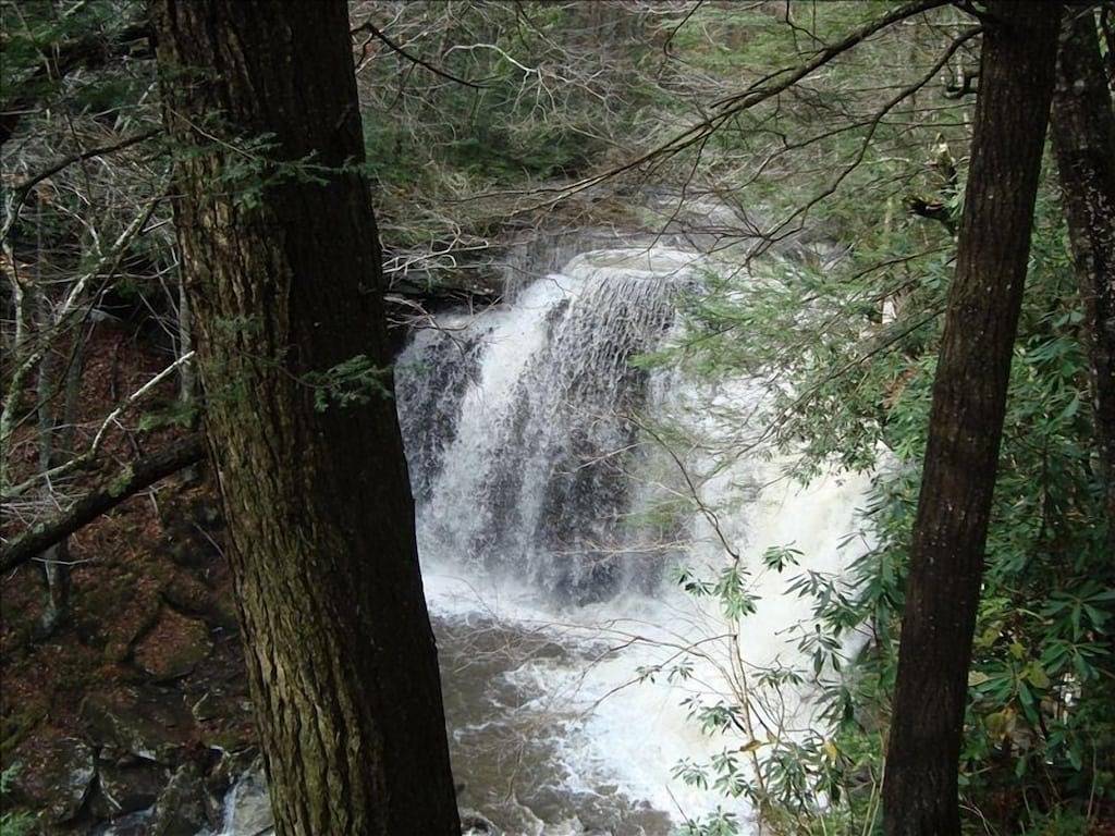 Ganze Wohnung, Best Deal in Almost Heaven !! in Snowshoe, Greenbrier River