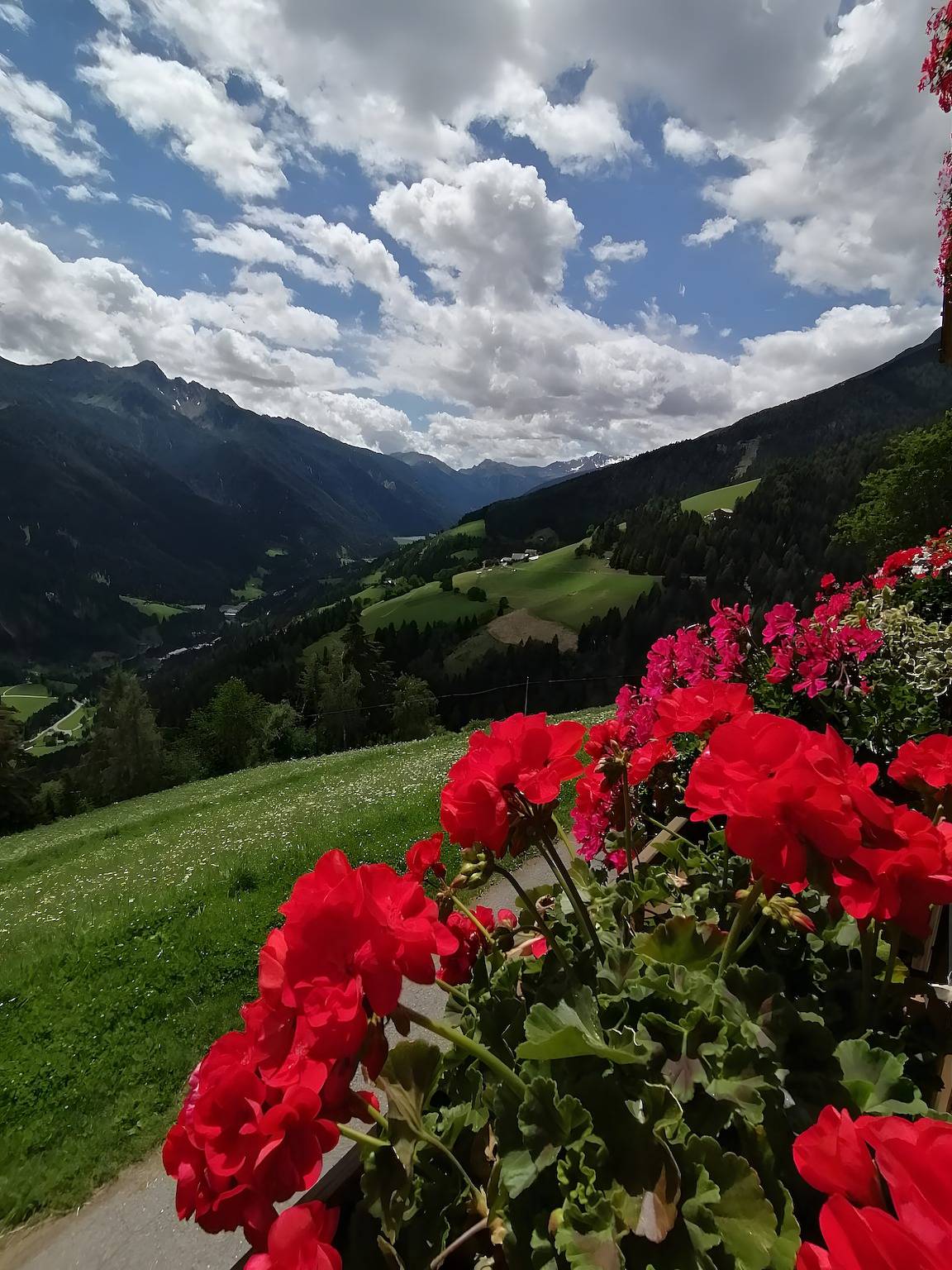 Bauernhaus „Ferienwohnung Pendlhof“ mit Bergblick, Gemeinschaftsgarten und Wlan in St. Pankraz, Ortleralpen