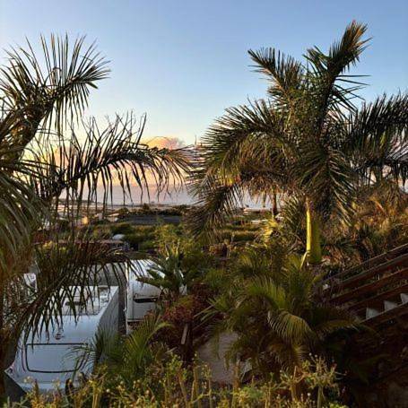 Parc de vacances pour 2 personnes, avec terrasse et jardin à Tenerife - 4