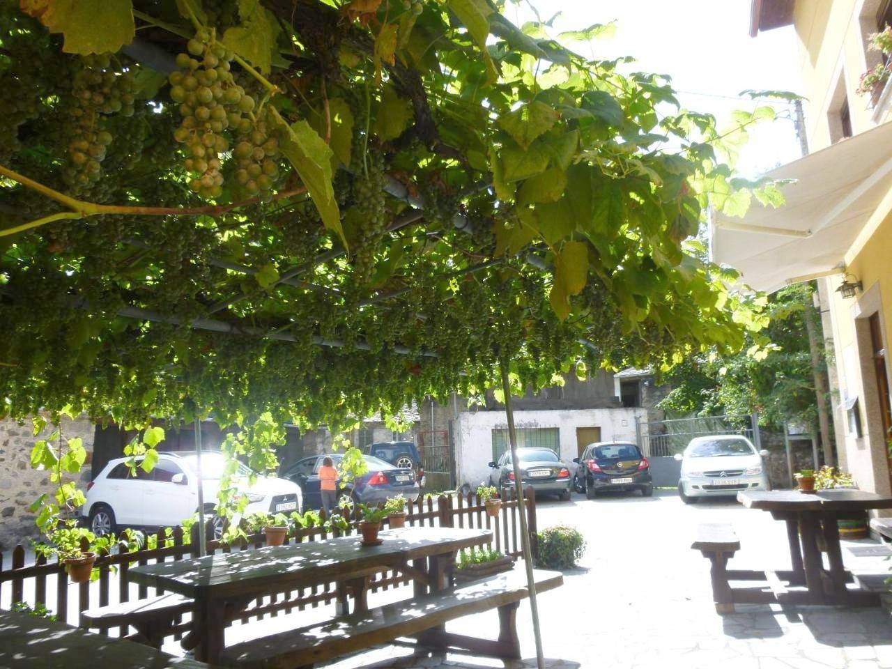 Hotel Rural La Pista in Cangas del Narcea, Parque Natural de las Fuentes del Narcea, Degaña e Ibias