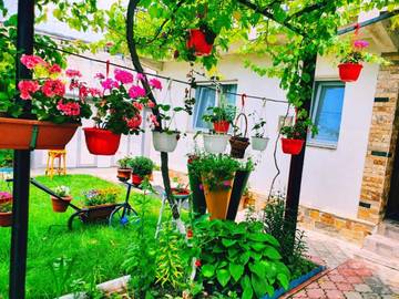 Maison d’hôte pour 2 personnes, avec jardin dans Vama Veche