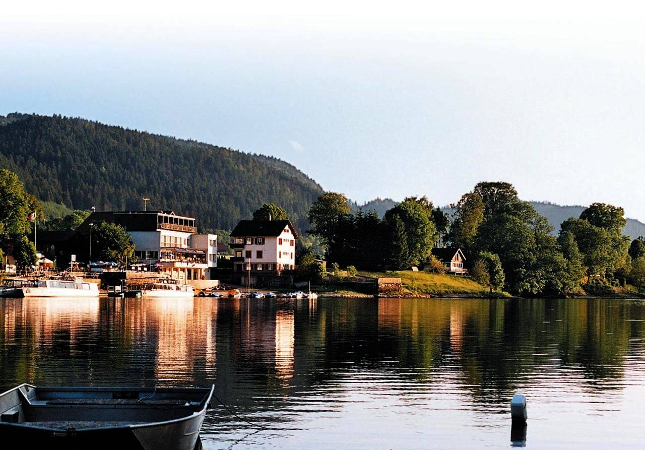 Double or Twin Room with Lake View in Les Brenets, Massif du Jura