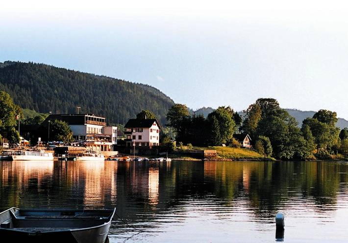 Gîte pour 2 personnes, avec vue sur le lac ainsi que terrasse et vue, animaux acceptés dans Le saut du Doubs - 4