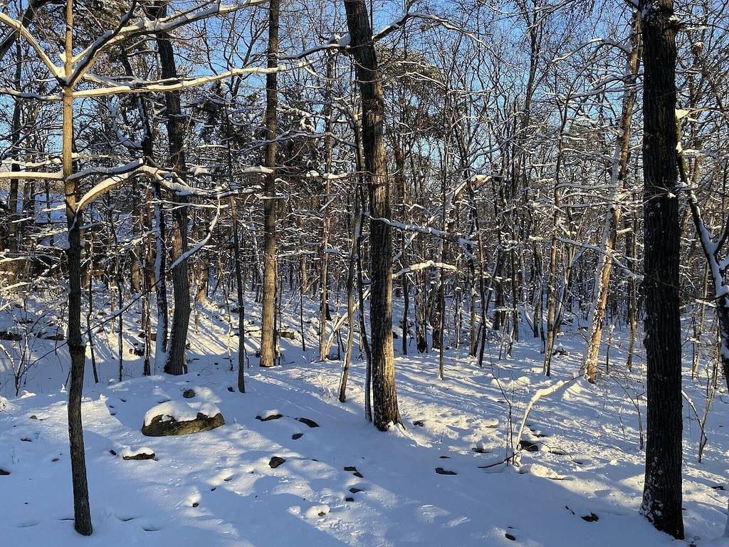 Hopkins House - Home away from Home at Massanutten Resort in Massanutten, Blue Ridge Mountains