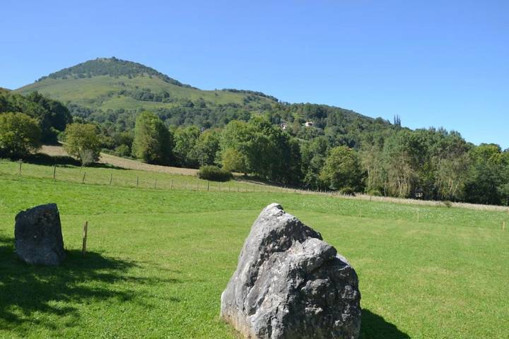 Maison d’hôte pour 9 personnes, avec jardin ainsi que piscine et vue dans les Hautes-Pyrénées - 3