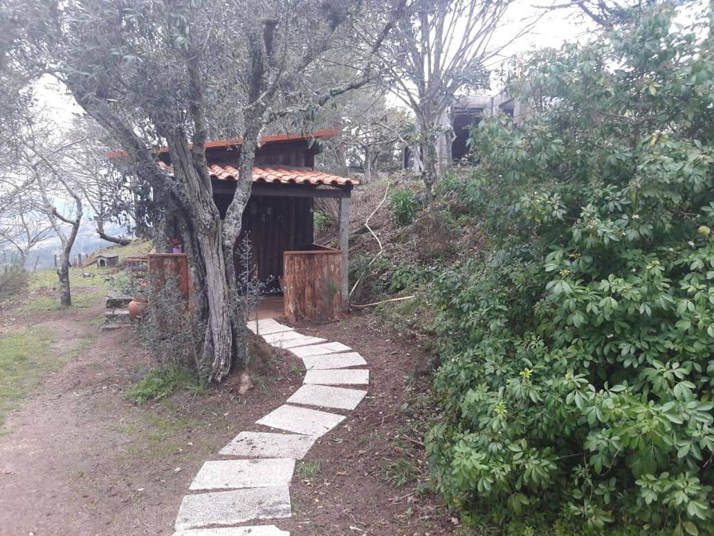 Cabana da Oliveira in Paredes de Viadores e Manhuncelos, Distrito do Porto