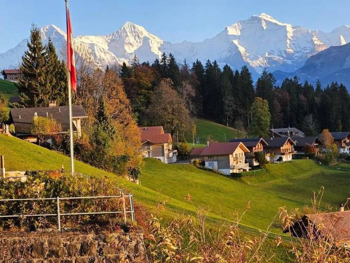 Ferienwohnung für 4 Personen, mit Garten und Ausblick in Beatenberg - 3