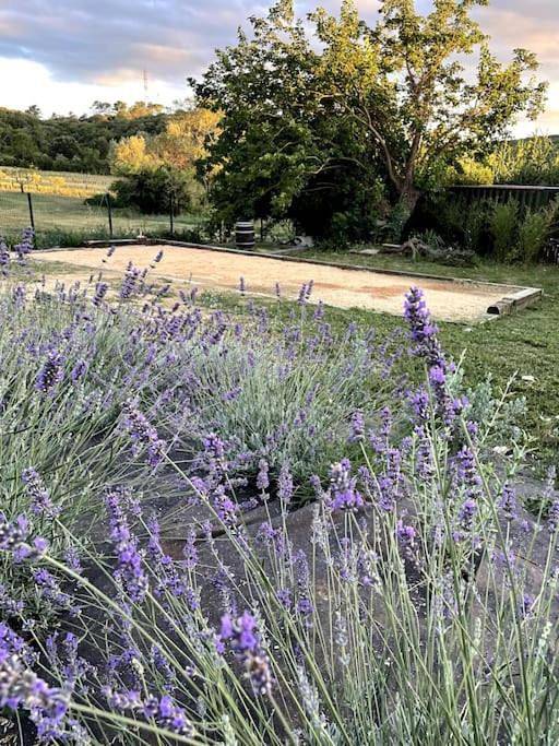 Location de vacances pour 8 personnes, avec vue ainsi que piscine et jardin, animaux acceptés à Saint-Just-et-Vacquières - 4