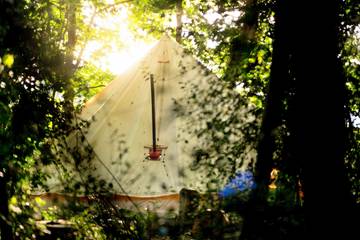 Glamping for 6 People in North Wessex Downs, South East England, Photo 1