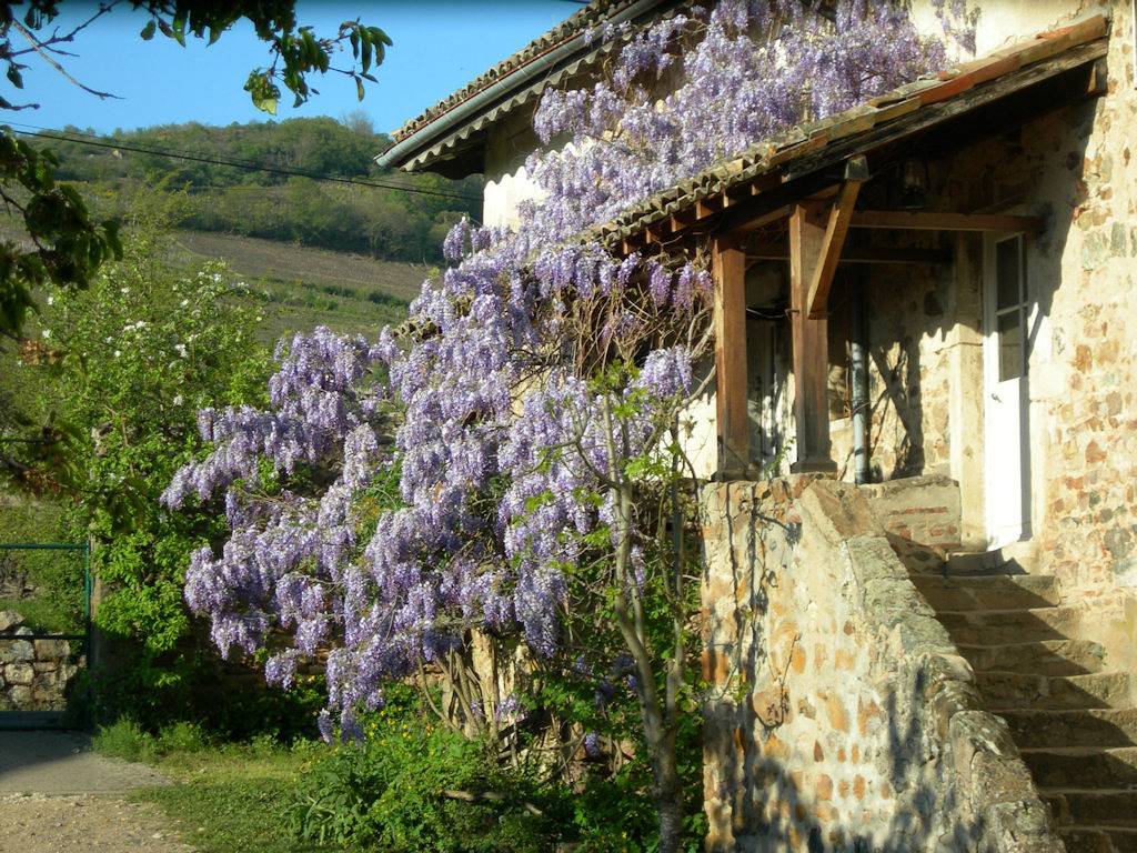 Gîte au Château de la Salle in Lantignié, Région de Villefranche-sur-Saône