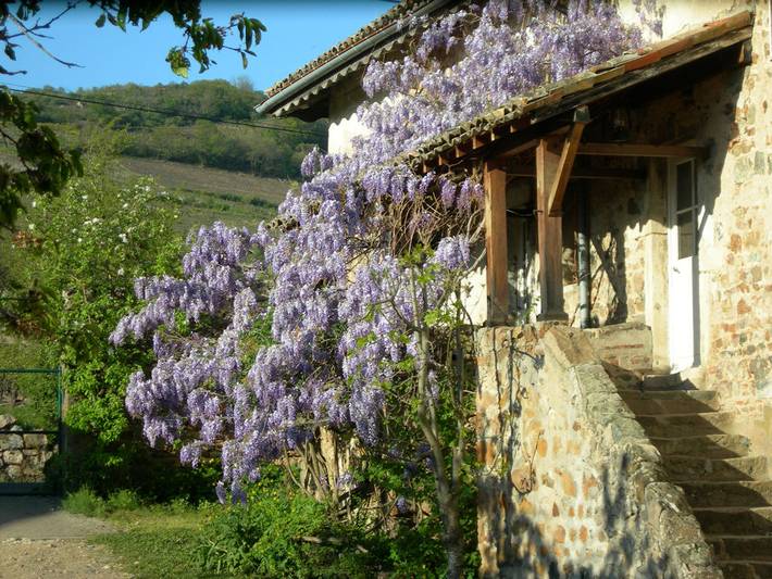 Gîte pour 15 personnes, avec piscine ainsi que terrasse et jardin, animaux acceptés dans Rhône - 2