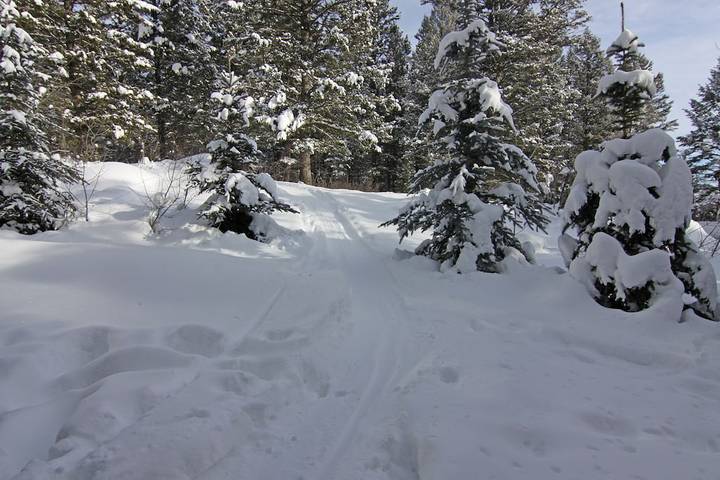 Vacation house for 14 people, with sauna and hot tub as well as yard and balcony in Jackson Hole