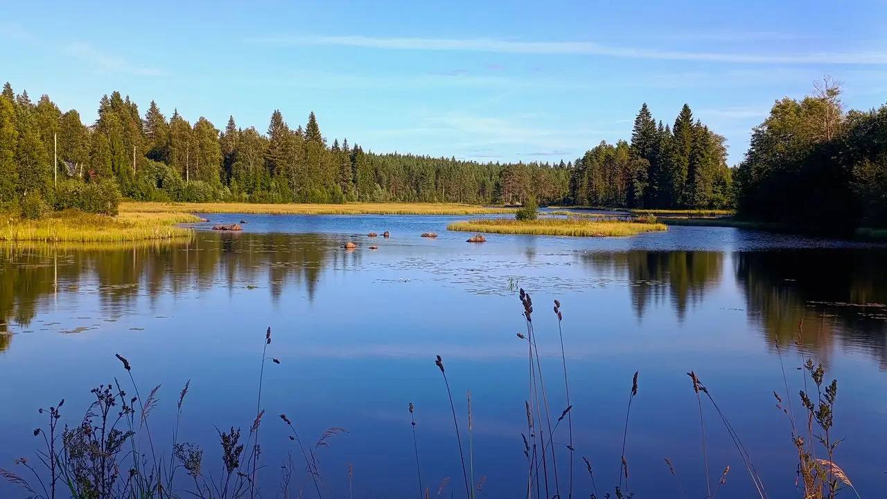 Ferienhaus für 4 Personen (80 m²) in Fredriksberg in Ludvika, Dalarna