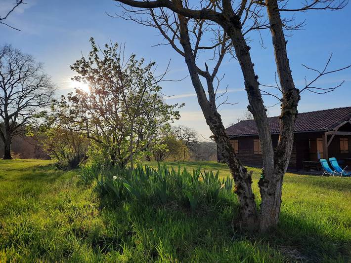 Gîte pour 6 personnes, avec piscine ainsi que jardin et terrasse, animaux acceptés dans Occitanie - 3