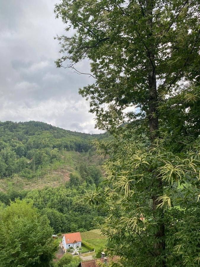 Gîte pour 4 personnes, avec sauna ainsi que jardin et vue, adapté aux familles à Lalaye - 2