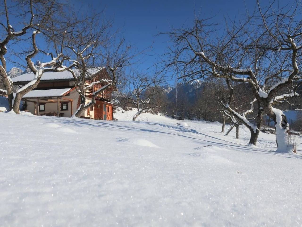 Romantisches Chalet in den Wiesen der Dolomiten in Mezzano, Dolomiti di Fiemme