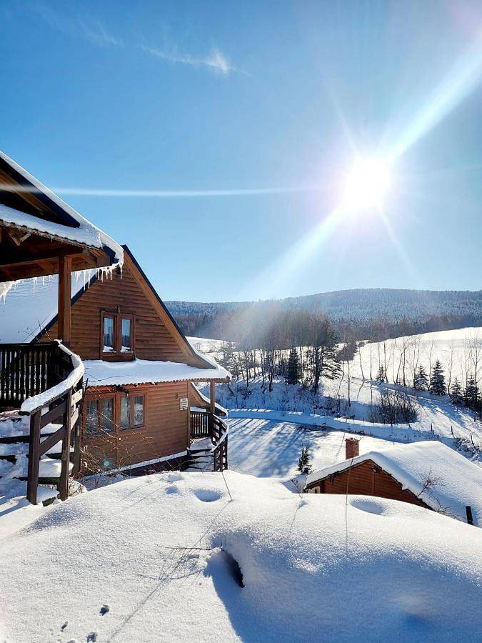 Wynajem wakacyjny dla 10 osób, z ogród i basen oraz widok i sauna, zwierzęta dozwolone w Karpaty (Polska)