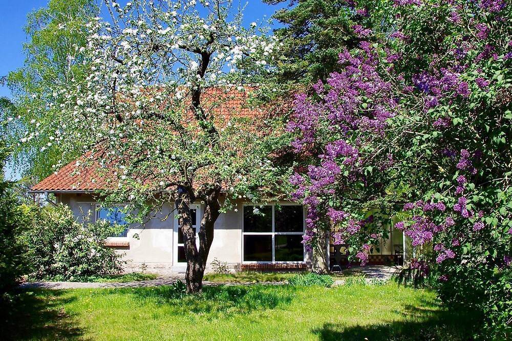 Ferienhaus Am Wald - Am Wald in Malchiner See, Basedow