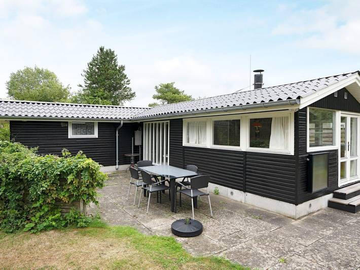 Ferienhaus für 6 Personen, mit Garten und Terrasse, kinderfreundlich in Dannemare - 4