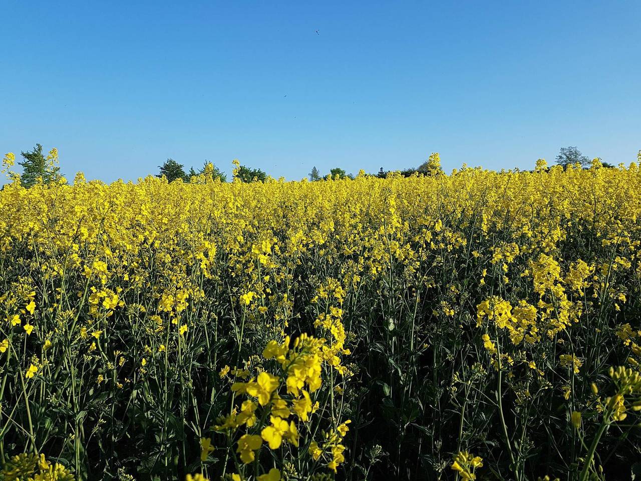 6 Personen Ferienhaus in Tranekær in Dageløkke, Tranekær
