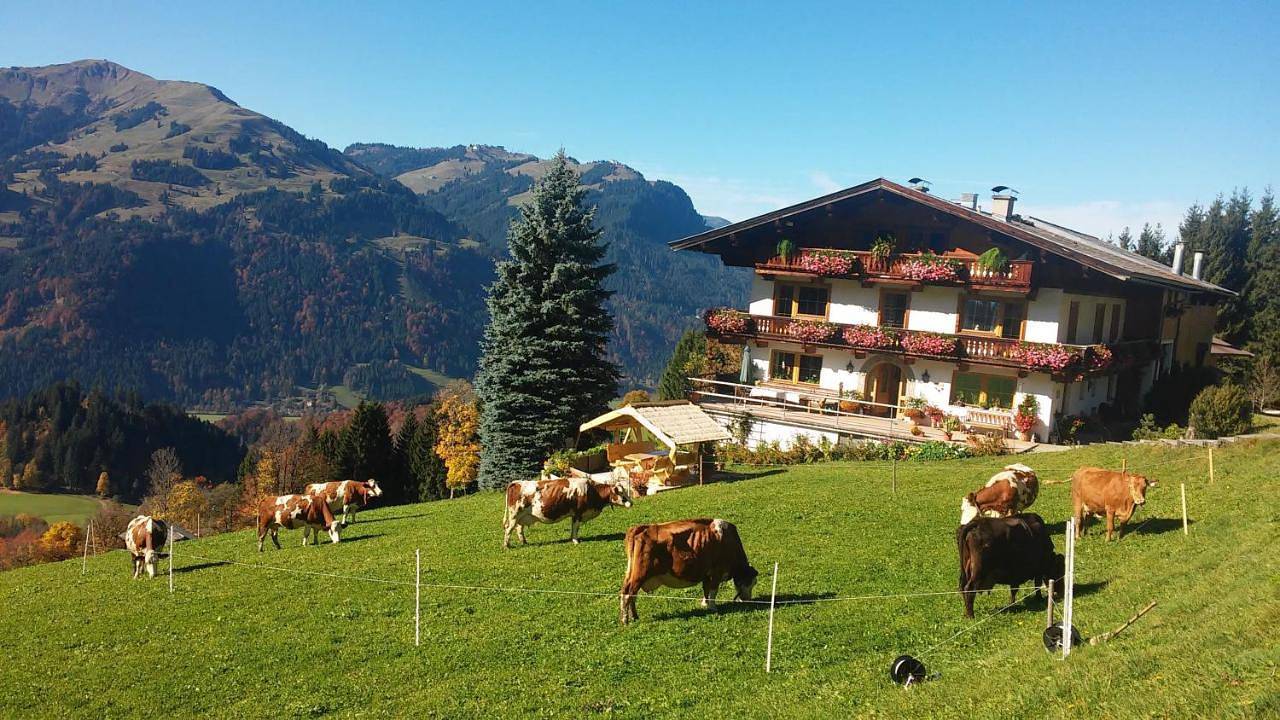 Cały apartament, Hof Hamoos in Kitzbühel, Hohe Salve