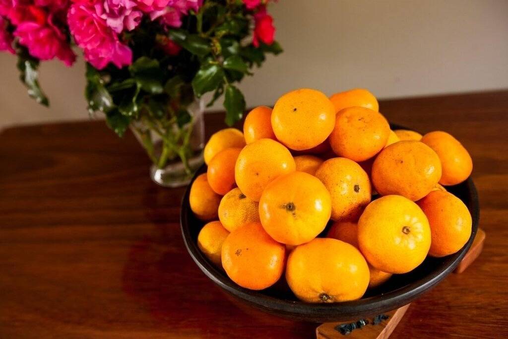 Dolittle Cottage auf Bio-Obstgarten, Nutztieren, Pool, absolute Glückseligkeit in Kerikeri, Northland