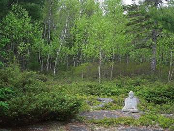 Cabin for 4 Guests in Mount Desert Island, Hancock County, Picture 4