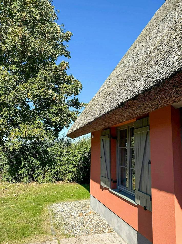 Ferienhaus für 6 Personen, mit Sauna und Garten sowie Terrasse, mit Haustier in Kamminke - 4