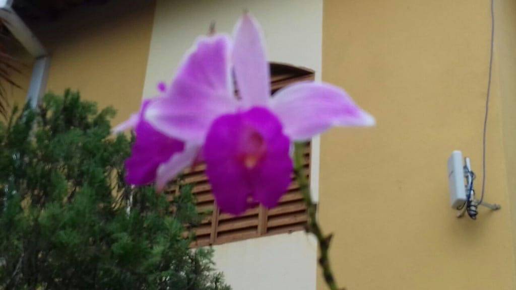 Ganze Wohnung, Apt Condominium Villagio in Wonderful Strand, Strand und Wasser Tobo in Ubatuba, Região Metropolitana do Vale do Paraíba e Litoral Norte