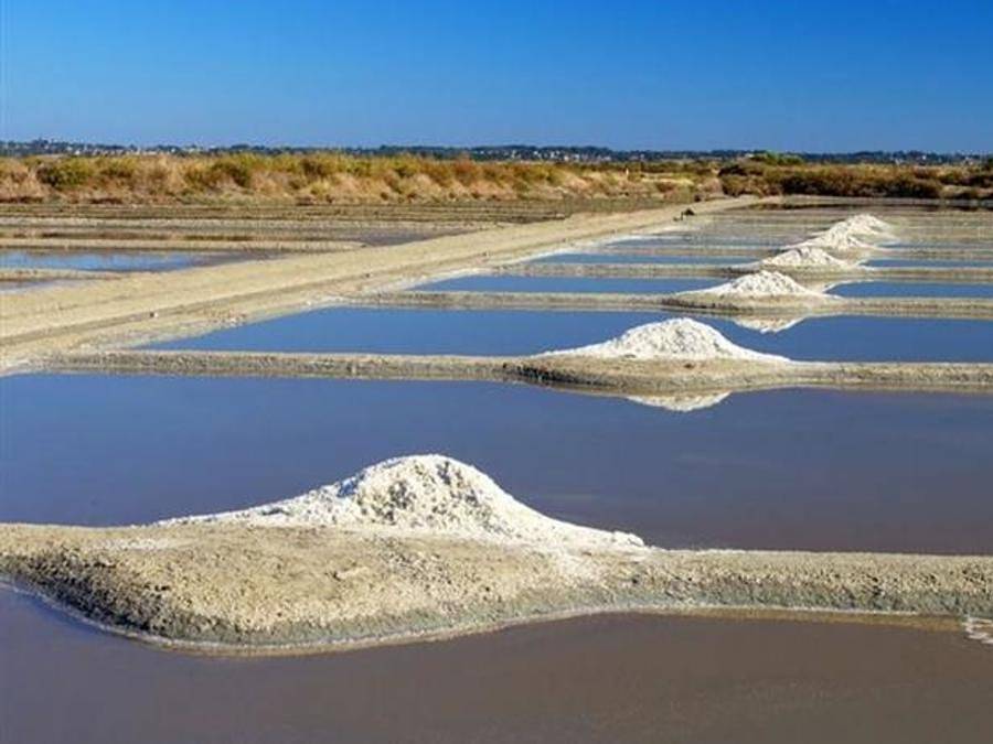 Tlc Vacances Noirmoutier - Villa 9 personen - Villa 3 Schlafzimmer in Frankreich