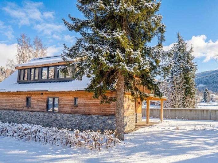 Chalet für 8 Personen, mit Garten und Sauna sowie Balkon, mit Haustier - 1