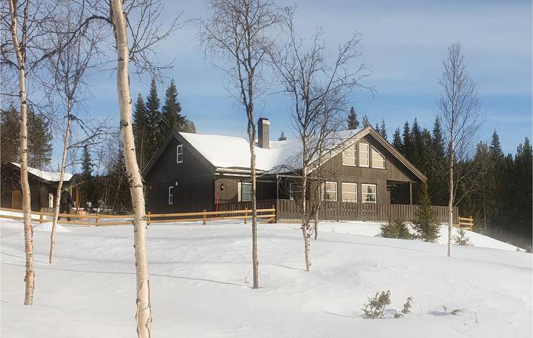 Ferienhaus für 13 Personen, mit Terrasse und Sauna in Hemsedal - 2