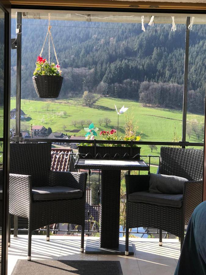 Gîte pour 2 personnes, avec jardin et vue à Seebach (Ortenaukreis) - 2