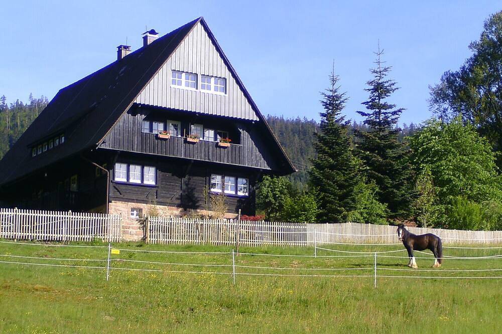 Ganze Wohnung, Neu! Fewo Eulennest in idyllischem Forsthaus, individuell und chic in Hundsbach, Forbach