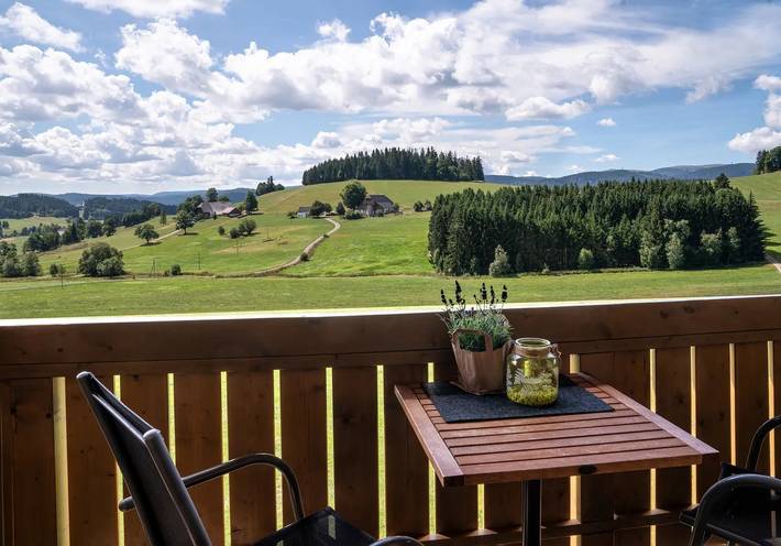 Ferienwohnung für 4 Personen, mit Garten in Suedlicher Schwarzwald - 2