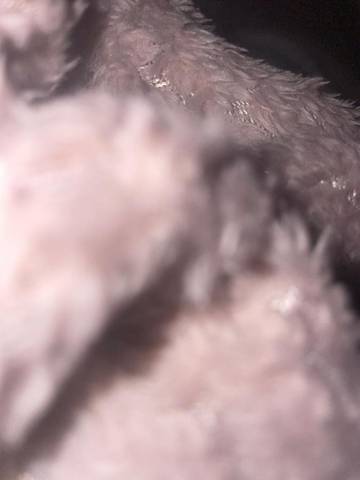 Gîte pour 2 personnes, avec balcon à Gourbeyre