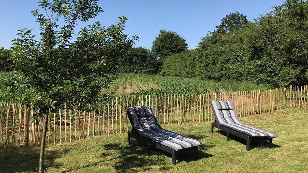 Ferienhaus für 4 Personen (70 m²) in Dollerup in Dollerup, Schleswig-Flensburg