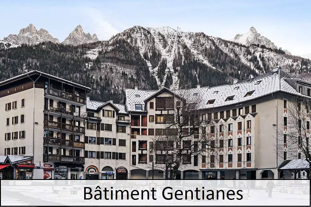 Ganze Wohnung, 2-Zimmer-Wohnung für 5 Personen Komfort in Brevent-Flegere, Chamonix