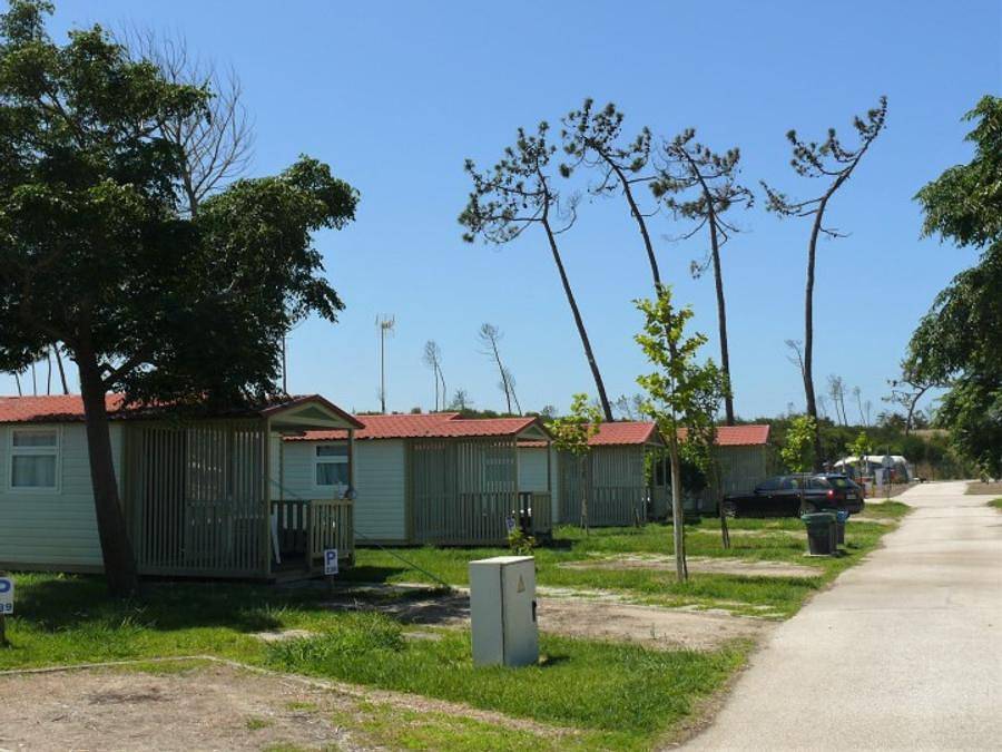 Camping Gala - Bungalow 2 personen - Atlantico in Praia da Cova Gala, Figueira da Foz